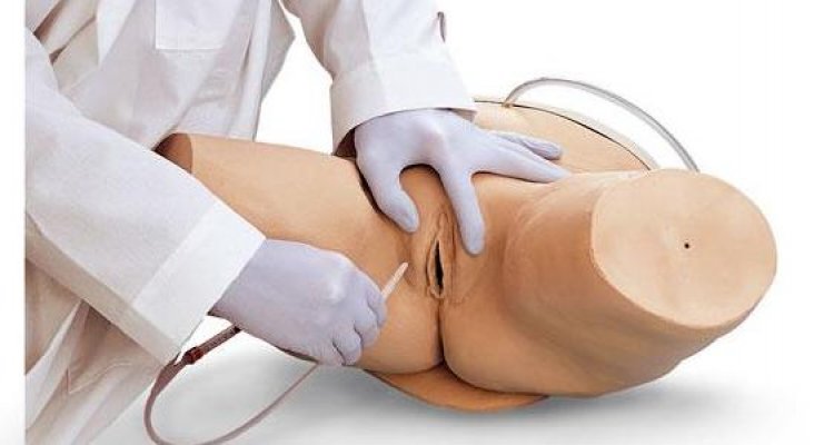 Female Catheterization Simulator